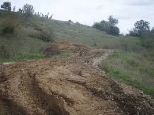 ΕΝΦΙΑ: «Χαρδούβελη έλα αγόρασε το λιοστάσι μου και σε κερνάω…»