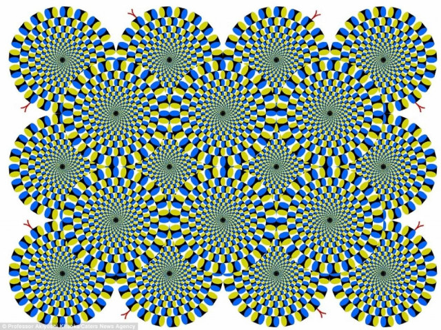 Οι εικόνες που κινούνται! (pics+video)