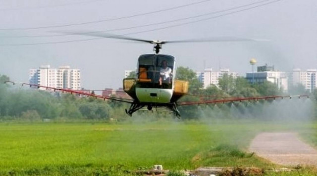 Ελληνίδες σπουδάστριες βραβεύτηκαν για καινοτόμο ζιζανιοκτόνο