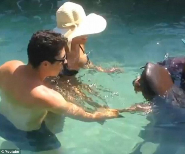 Βίντεο: Πήγε να χαϊδέψει τον τεράστιο καρχαρία όταν... Δείτε τι συνέβη