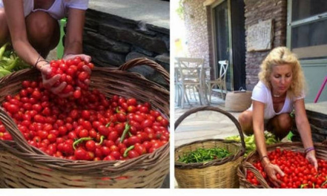 Η Ελένη, τα ντοματίνια και οι φωτό στο twitter