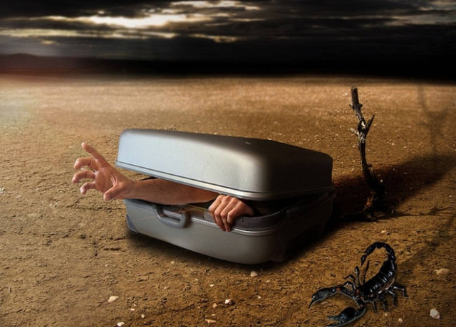 Απίστευτο: Δείτε που καταλήγουν οι βαλίτσες που χάνουμε στα αεροδρόμια