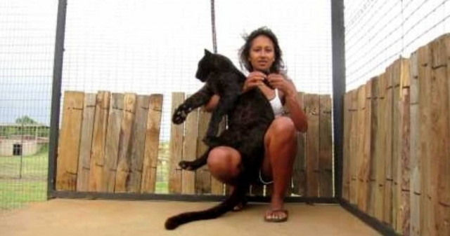 Δείτε το τρυφερό βίντεο που έχει πάνω από 1,5 εκατ. επισκέψεις στο YouTube