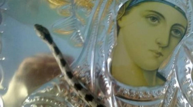 Κεφαλονιά: Γιατί δεν έχουν εμφανιστεί φέτος τα «φιδάκια της Παναγίας»;