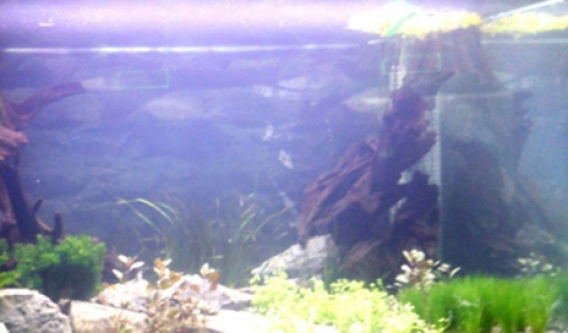 Καστοριά: Έκλεισε δύο χρόνια λειτουργίας το ενυδρείο της πόλης