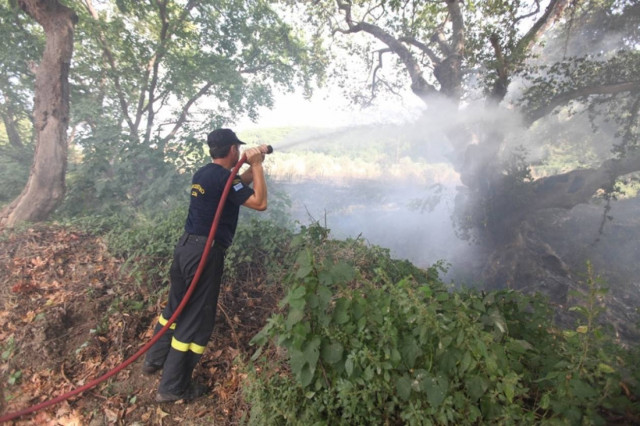 Σητεία: Υπό έλεγχο τέθηκε το πύρινο μέτωπο