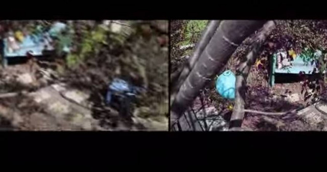 Πώς βλέπουν τον κόσμο τα ζώα; (vid)