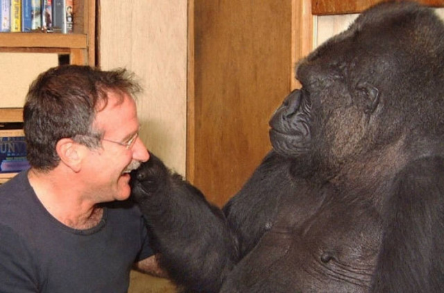Ρόμπιν Γουίλιαμς: Όταν η Κόκο συνάντησε την αδυναμία της...
