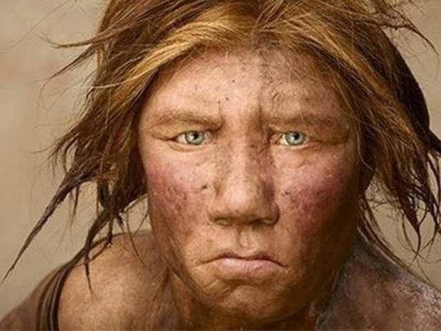 Ψητά περιστέρια απολάμβαναν οι Νεάντερταλ