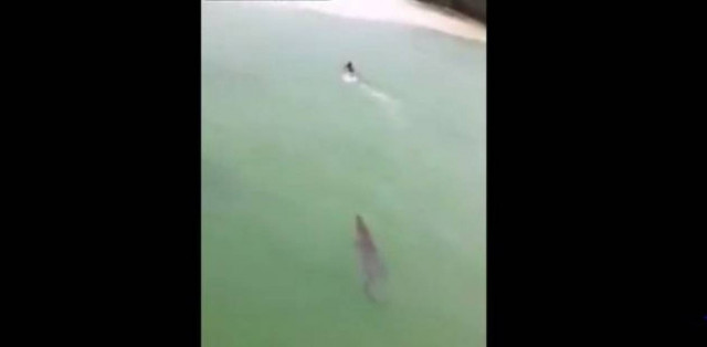 Απίστευτο βίντεο: Κροκόδειλος κυνηγά άνδρα στην λίμνη