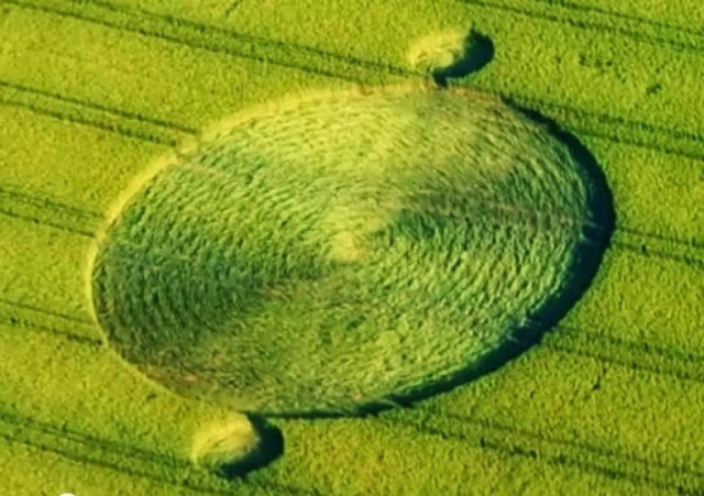 Αγρογλυφικά διάσπαρτα σε περιοχές της Ευρώπης (pics)