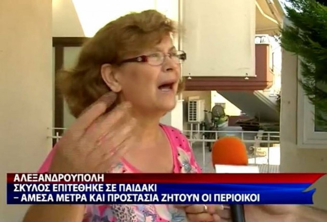 Αλεξανδρούπολη: Κάτοικοι καταγγέλλουν επίθεση σκύλου σε παιδάκι