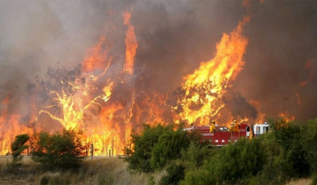 Υπό μερικό έλεγχο οι πυρκαγιές σε Λαμία και Μέγαρα