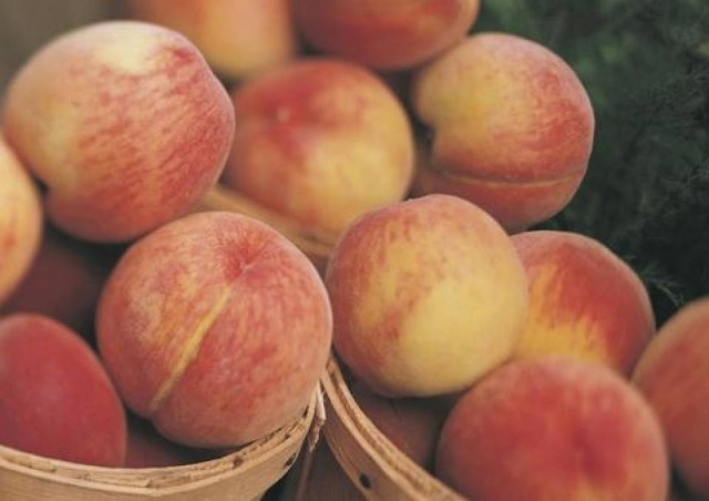 Καθ' οδόν από Ρωσία προς Ελλάδα πουλήθηκαν τα ροδάκινα