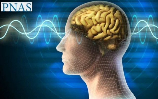 Η εγκεφαλική διέγερση ενισχύει την ανάρρωση μετά από εγκεφαλικό