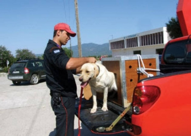 Καλαμάτα: Έρευνα της ΕΜΑΚ για τον εντοπισμό δύο νέων που αγνοούνται