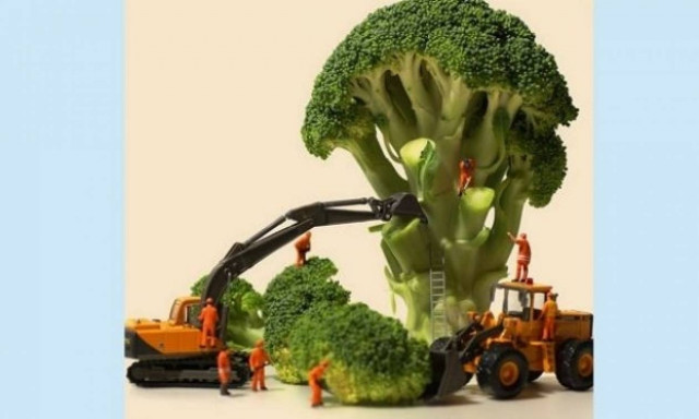 Ένα υπέροχο πρότζεκτ: Τρόφιμα…βγαλμένα από παραμύθι (pics)