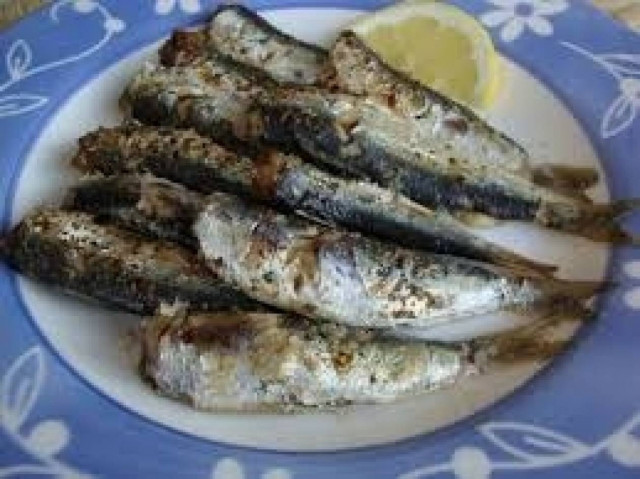 Πρέβεζα: Γιορτή της σαρδέλας στις 23 Αυγούστου