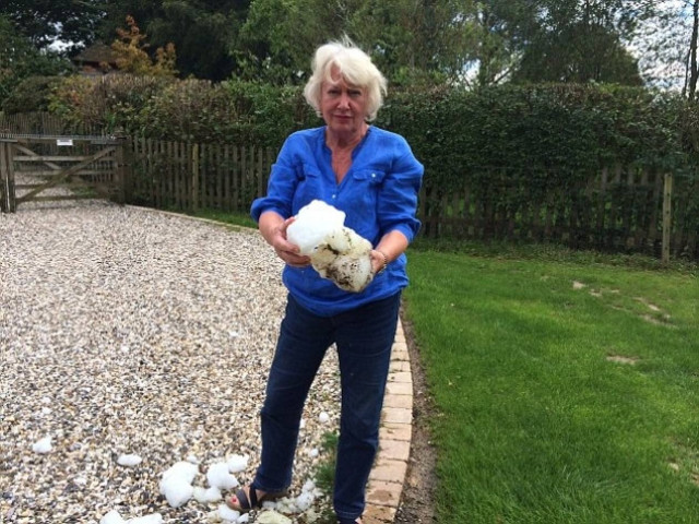 Δεν θα πιστεύετε τι... αηδιαστικό έπεσε από τον ουρανό στον κήπο τους