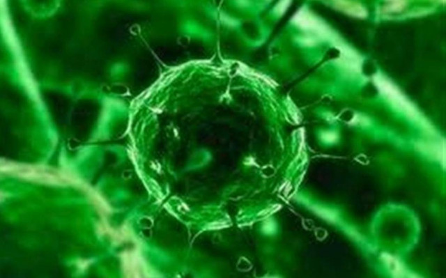 Έμπολα: Η Αμερικανίδα ιεραπόστολος πήρε εξιτήριο από το νοσοκομείο