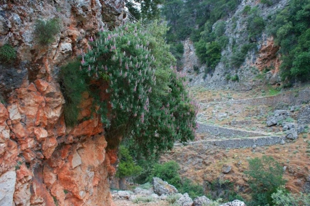 Κρήτη: Τραγική αυλαία για τους Γάλλους - Νεκρός βρέθηκε και ο άνδρας
