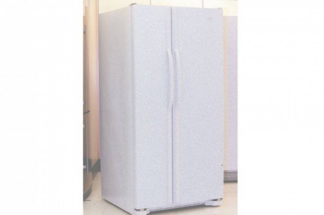 Ρωσία: Άφησαν τον ανάπηρο γιο τους να πεθάνει στο ψυγείο!