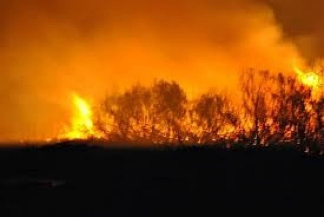 Μάχη με τις φλόγες στη Μεσσηνία