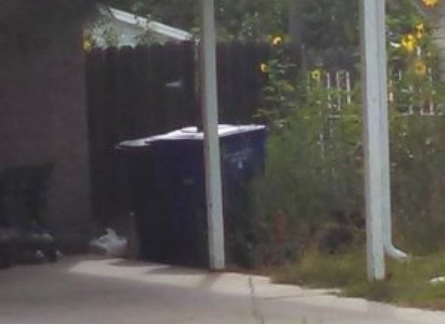 Σοκ: 23χρονη παράτησε το νεογέννητο παιδί της σε σκουπιδοτενεκέ