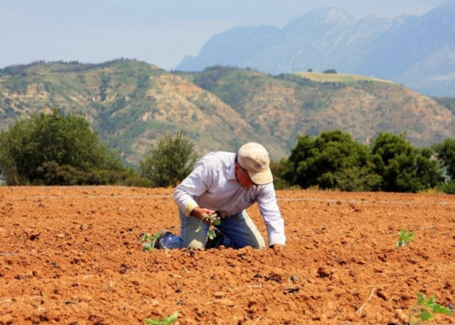 ΕΛΓΑ: Αποζημιώσεις 1,3 εκατ. ευρώ σε 1.070 αγρότες
