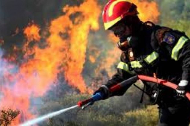 Σε εξέλιξη πυρκαγιά στα Φάρσαλα