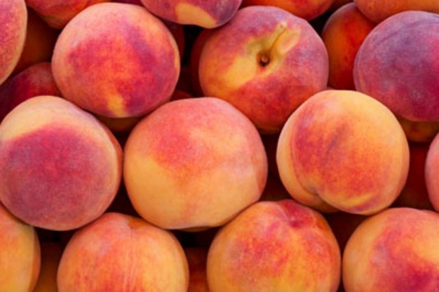 Τα ροδάκινα της Ρωσίας κατέληξαν στις… φυλακές!