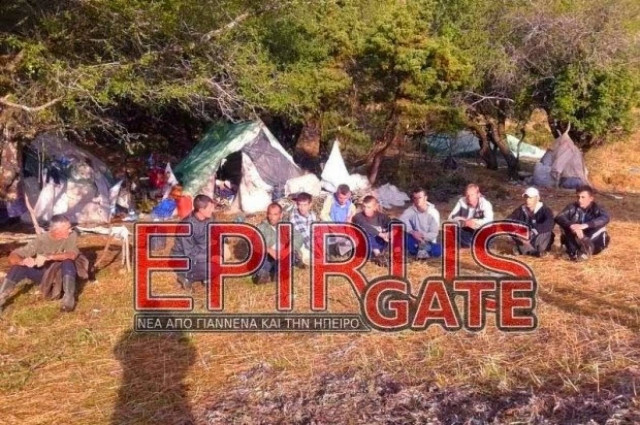 Θεσπρωτία: Νέες συλλήψεις για κοπή αρωματικών φυτών στον Τσαμαντά