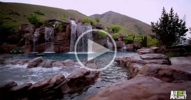 Εξωπραγματική πισίνα αξίας $2 εκατομμυρίων σε αυλή σπιτιού (Video)