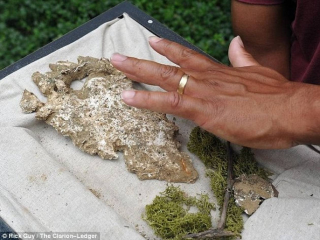 ΗΠΑ: Ο Μεγαλοπόδαρος άφησε πίσω του ίχνη! (photos)