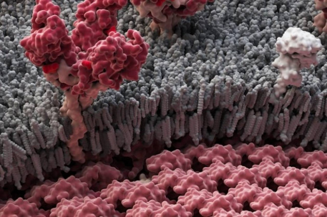 Η παγκόσμια αδράνεια εξάπλωσε τον ιό Έμπολα