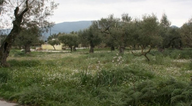 Λεμεσός: Πούλησαν ξένο οικόπεδο!