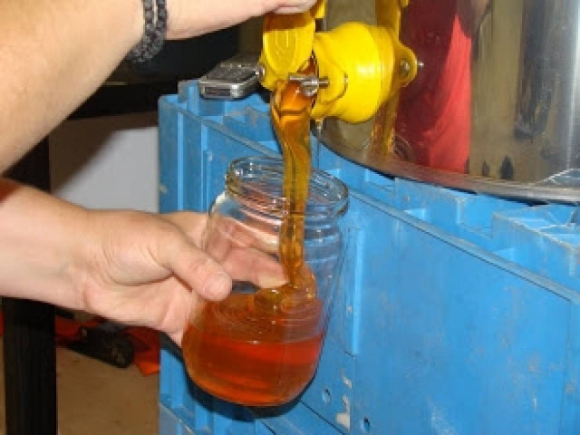 Κρήτη: Μυστήριο με 28 τόνους μελιού που εξαφανίστηκαν