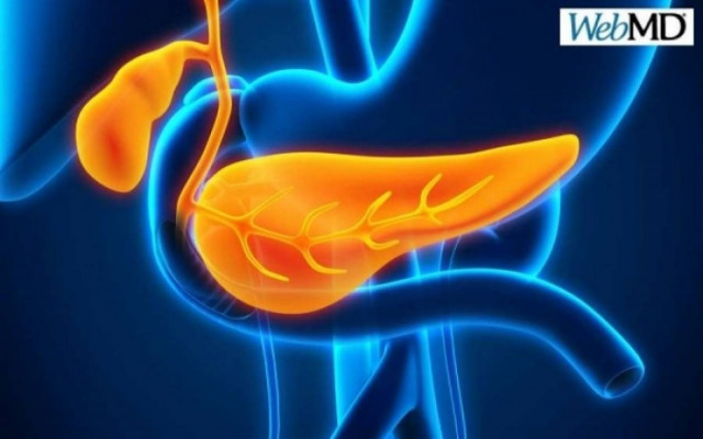 Πώς θα καταλάβετε ότι έχετε πέτρες στη χολή