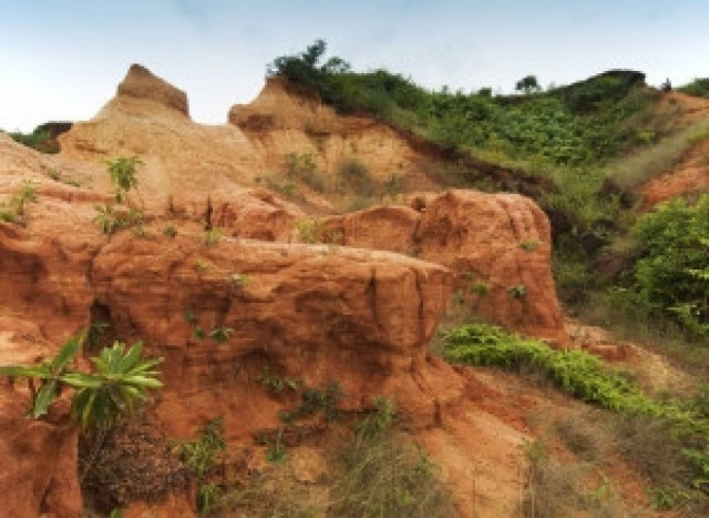 Υπνοβάτης παραλίγο να βρει φρικτό θάνατο - Έπεσε σε γκρεμό