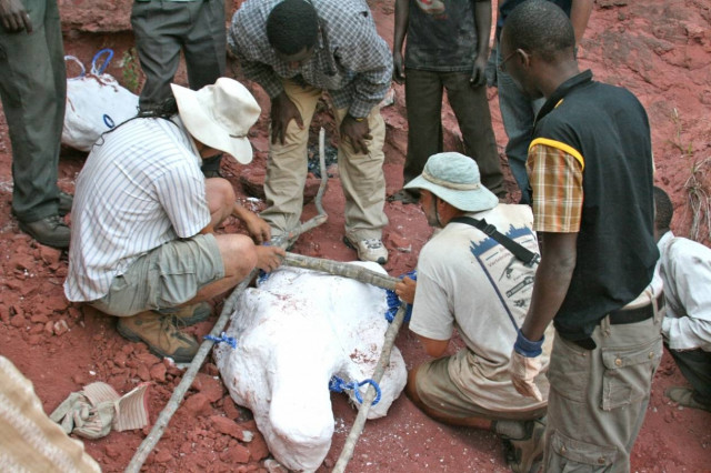 Νέο είδος δεινοσαύρου ανακάλυψαν στην Τανζανία