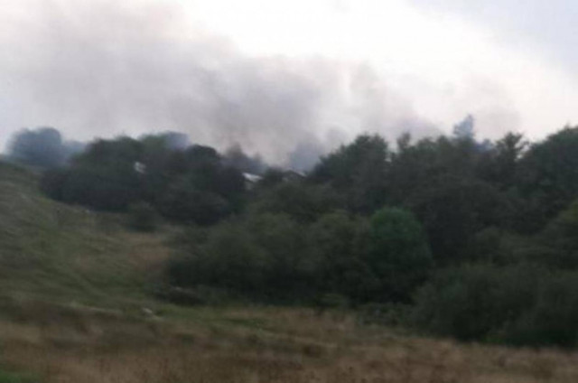 Δεκάδες σκυλάκια κάηκαν ζωντανά από πυρκαγιά σε καταφύγιο (vid)