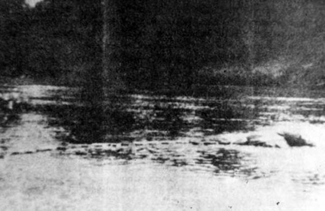 Τι γνωρίζετε για τα απόκοσμα όντα που προστατεύονται με νόμο;