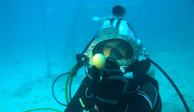 Τι θα συμβεί αν σπάσεις ένα αβγό μέσα στη θάλασσα; (Video)