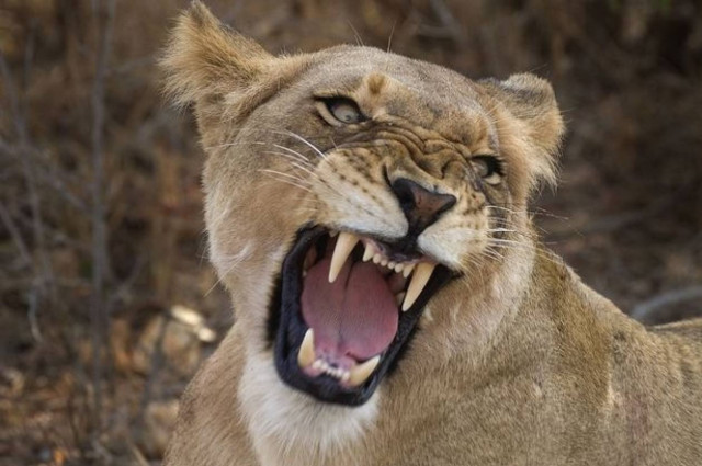 Διάσημος ηθοποιός: «Πίνω 14 μπουκάλια κρασί καθημερινά»