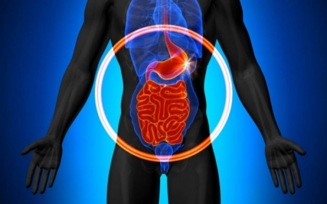 Τα σημάδια που φανερώνουν «διαρροή» στο έντερο