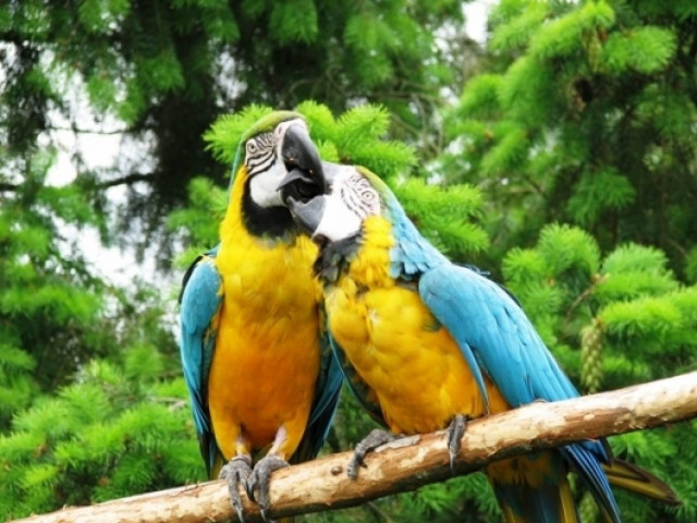 Ερωτικό ωροσκόπιο 15/9