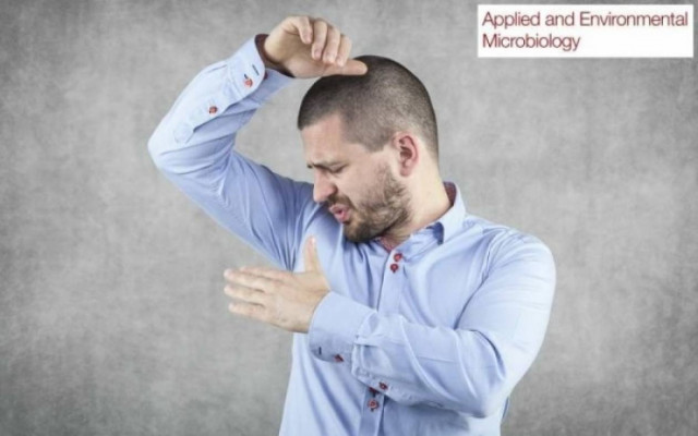 Δείτε ποια υφάσματα χειροτερεύουν τη μυρωδιά του ιδρώτα