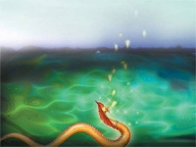 Τι γνωρίζετε για τις ιπτάμενες σφαίρες Naga;