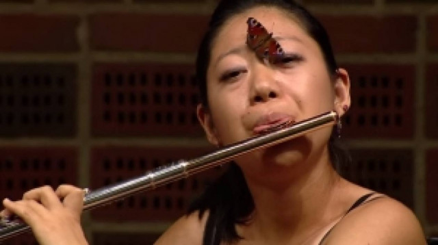 Έπαιζε όργανο και προσγειώθηκε πάνω της μία... πεταλούδα (βίντεο)