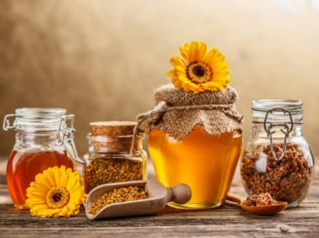 What's in the Stars today, September 20?